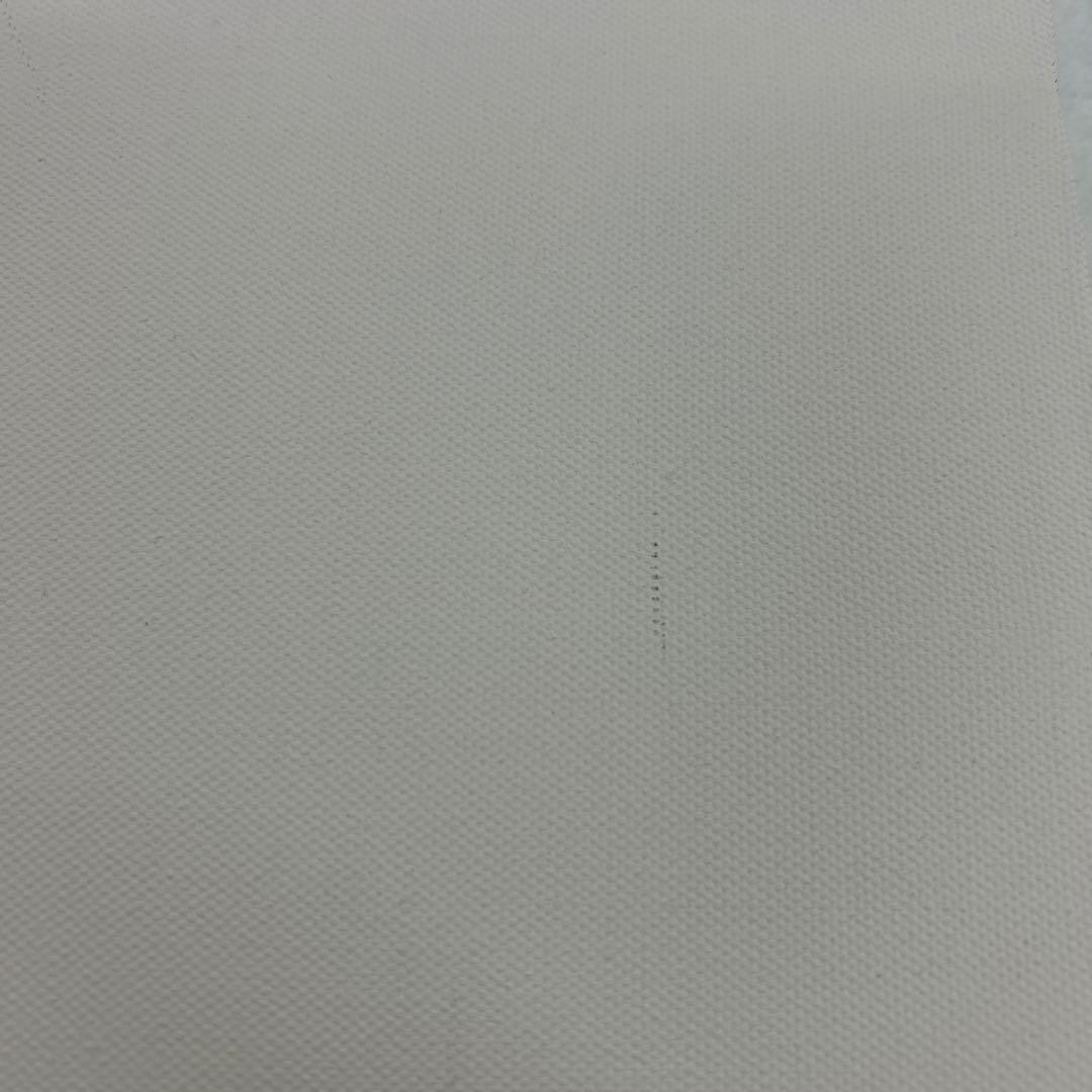 まとめ売り値下げ　クレサンジャパン　キャンバス　SM30枚セット　訳あり　練習用