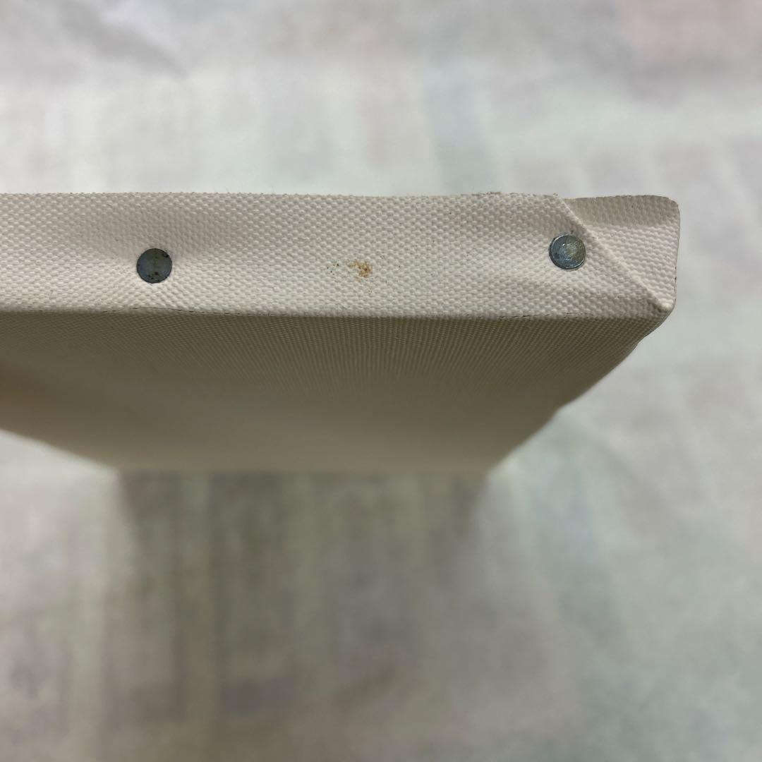 まとめ売り値下げ　クレサンジャパン　キャンバス　SM30枚セット　訳あり　練習用