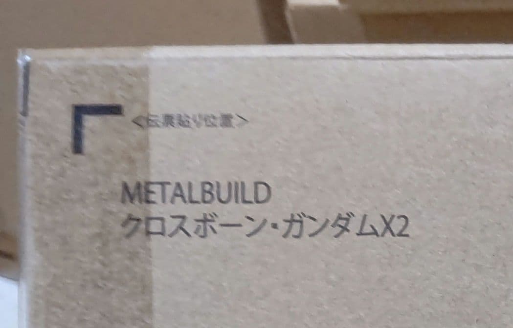 L BUILD クロスボーンガンダムX2 機動戦士クロスボーン 魂ウェブ