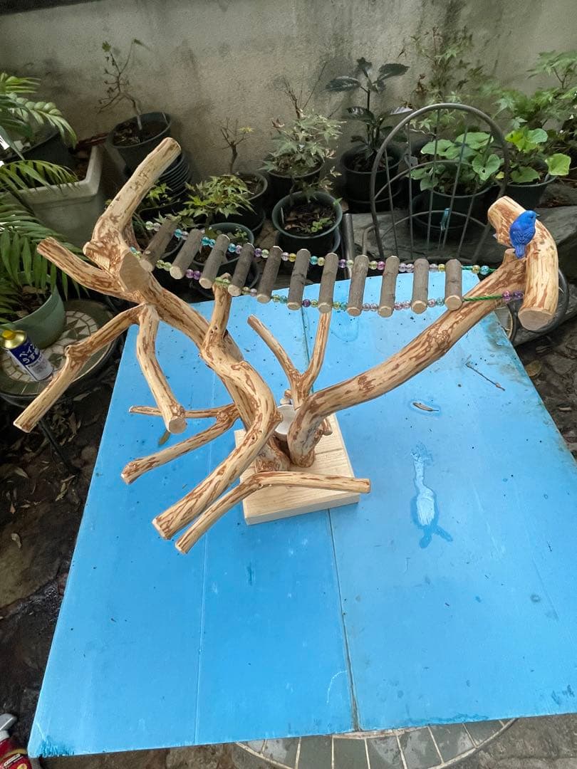 木製鳥止まり木 カラフルビーズ付き