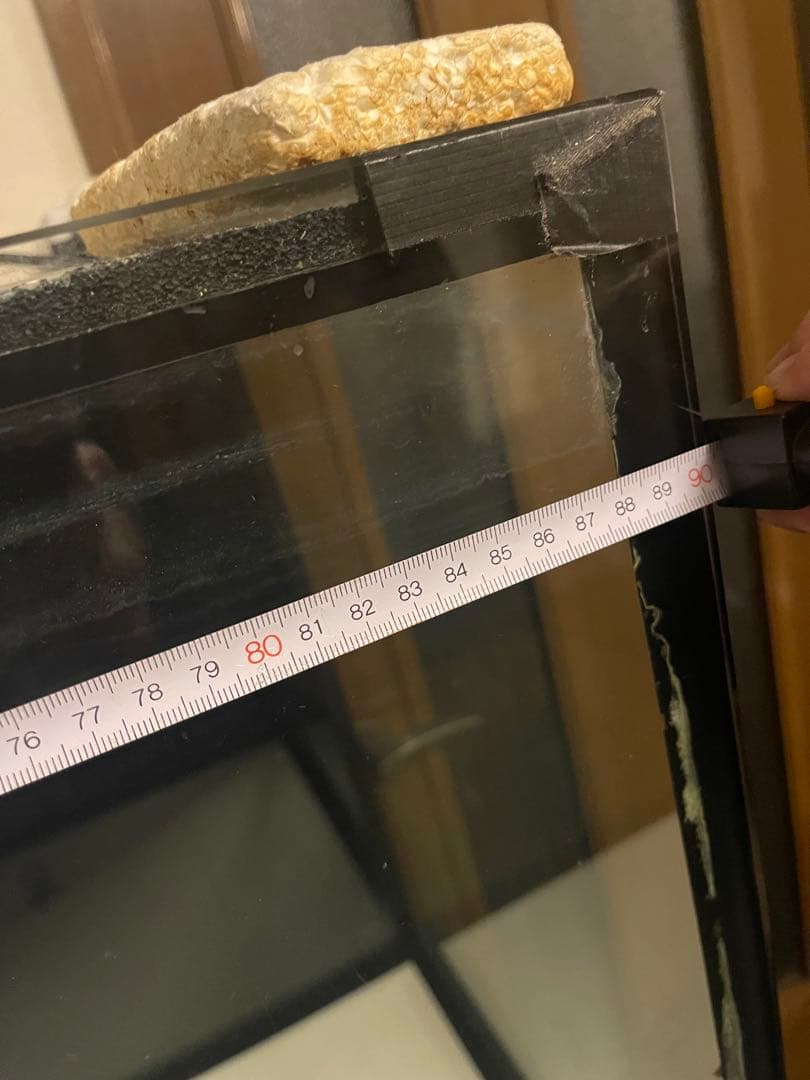 900 アクリル水槽　オーバーフロー 大型水槽 & キャビネット水槽台