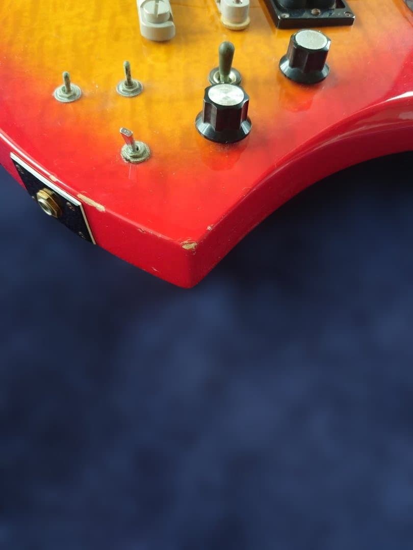 【FERNANDES】Burny MG-130S MG-145S hide