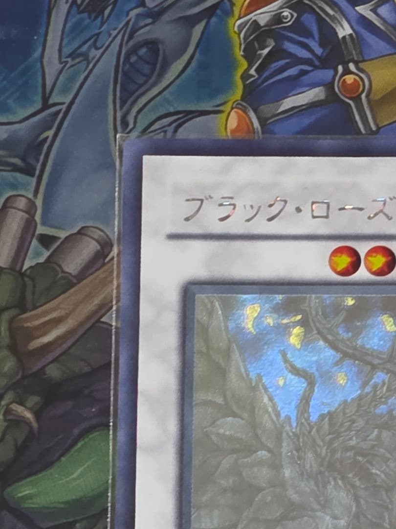 【匿名配送】ブラック・ローズ・ドラゴン ホロ