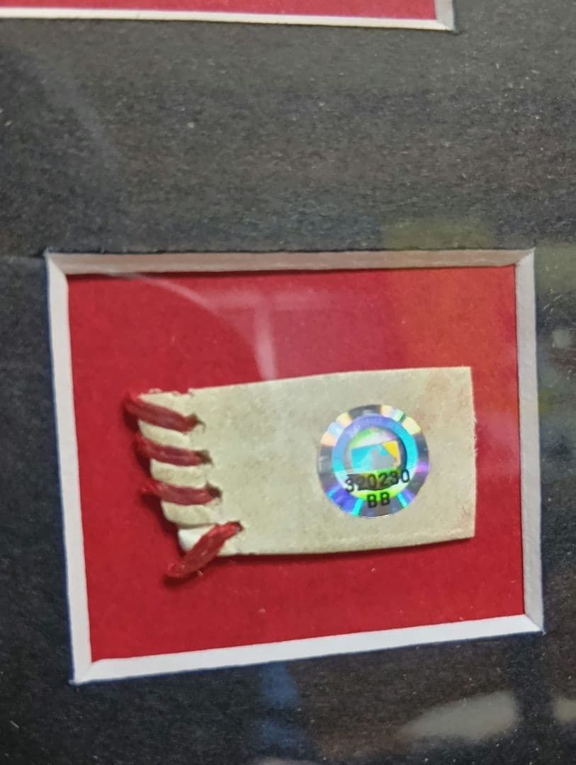 MLB フェンウェイパーク　フレーム