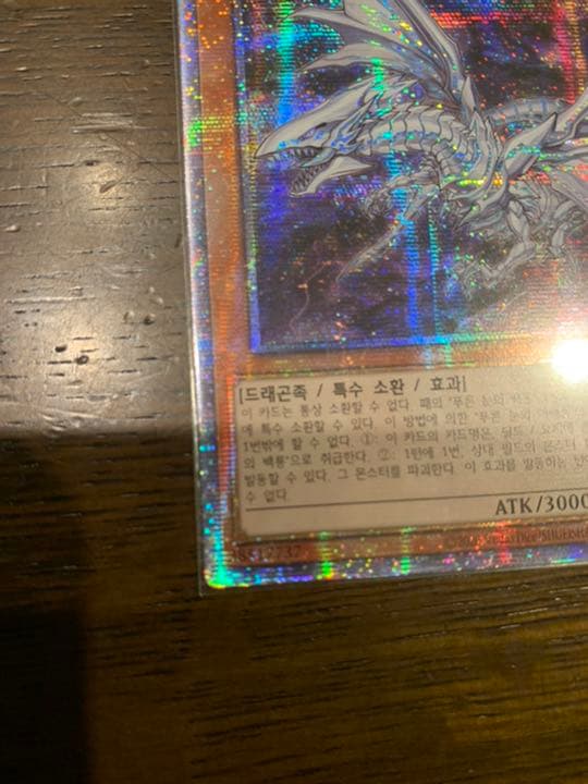 遊戯王 青眼の亜白龍　韓国版　プリシク