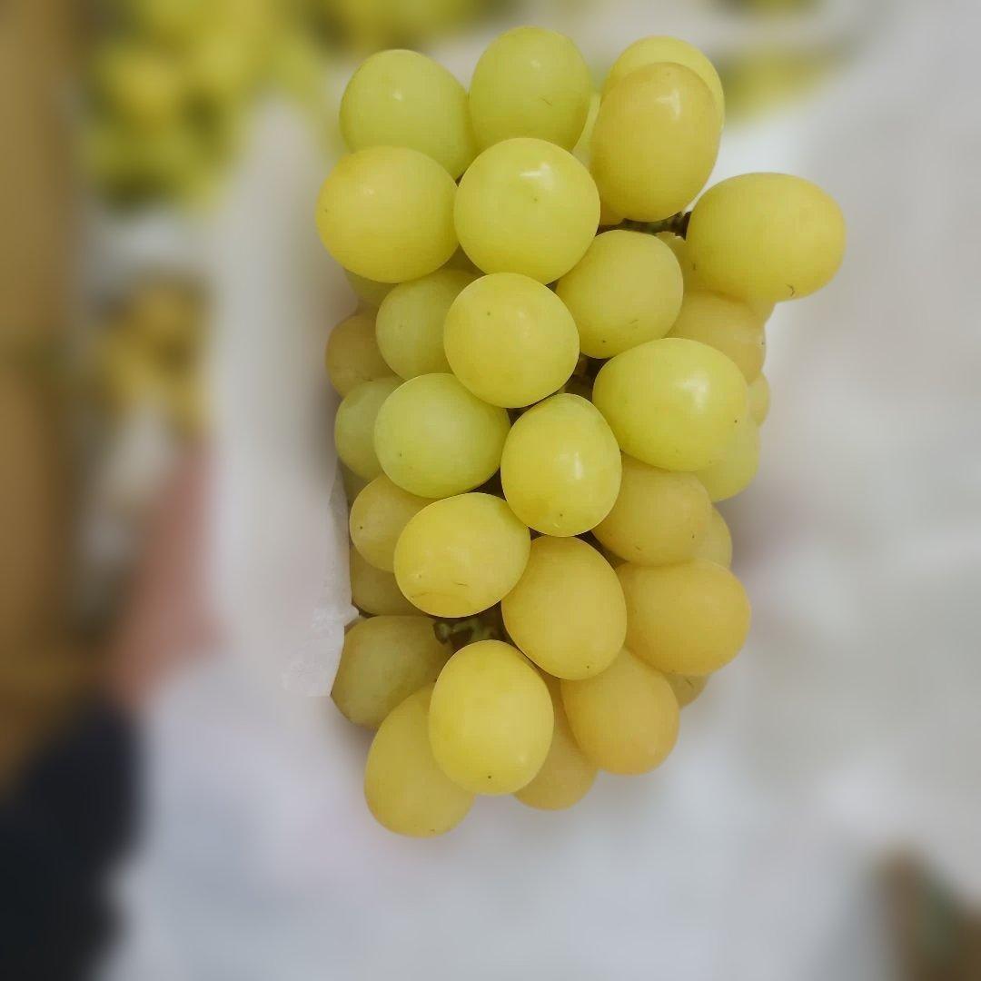 7️⃣ 山梨県産 シャインマスカット １１房入り 箱込み5.7キロ