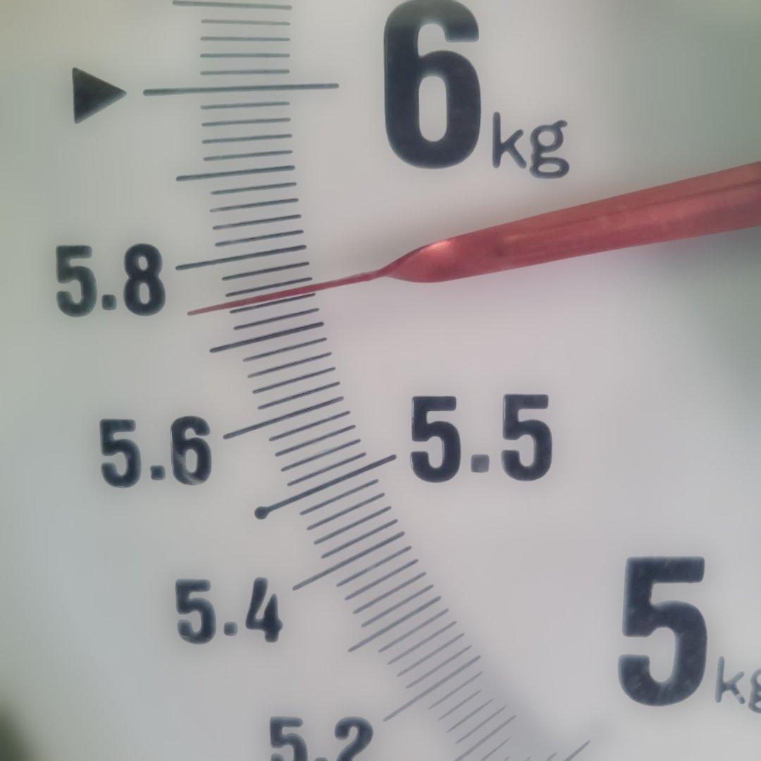 7️⃣ 山梨県産 シャインマスカット １１房入り 箱込み5.7キロ