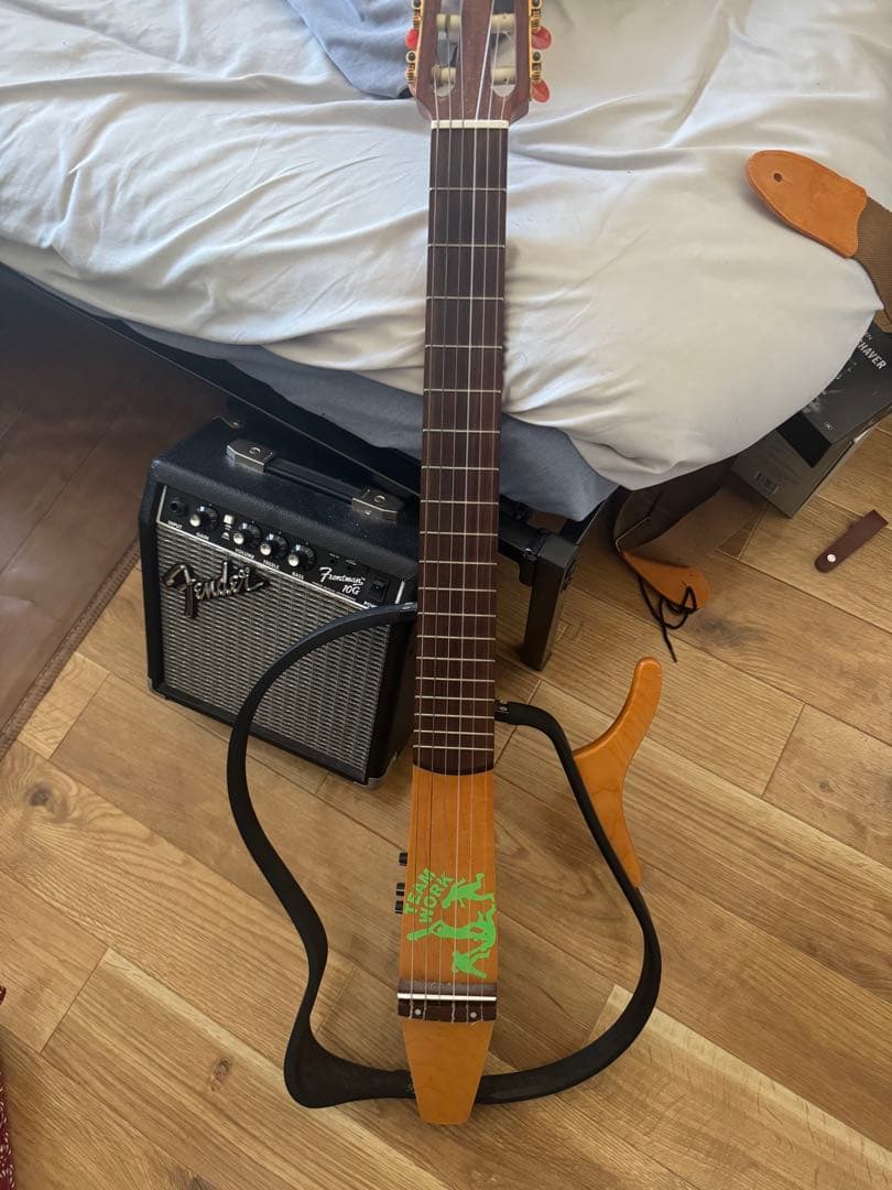 ユニークデザイン アコースティックギター