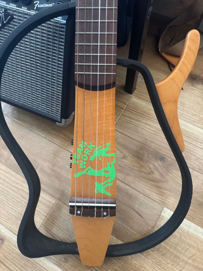ユニークデザイン アコースティックギター