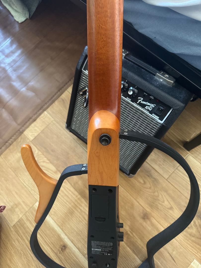 ユニークデザイン アコースティックギター