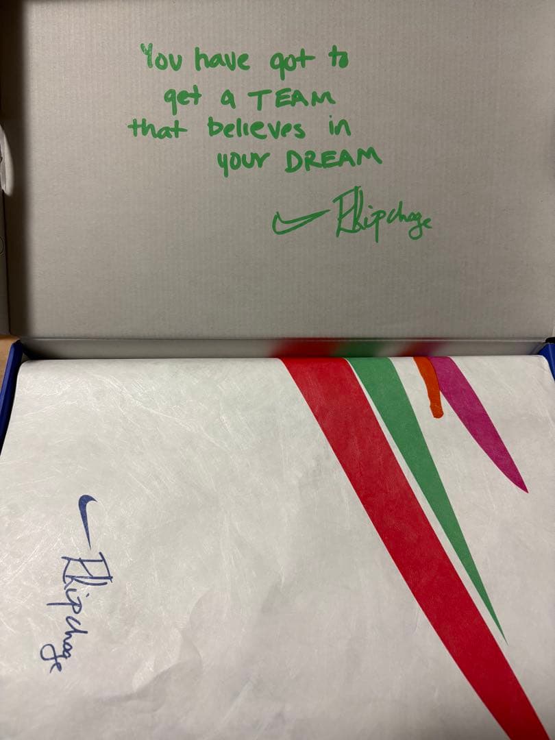 Nike ヴェイパーフライ 4 ネクスト % 28.5 キプチョゲ シューズ