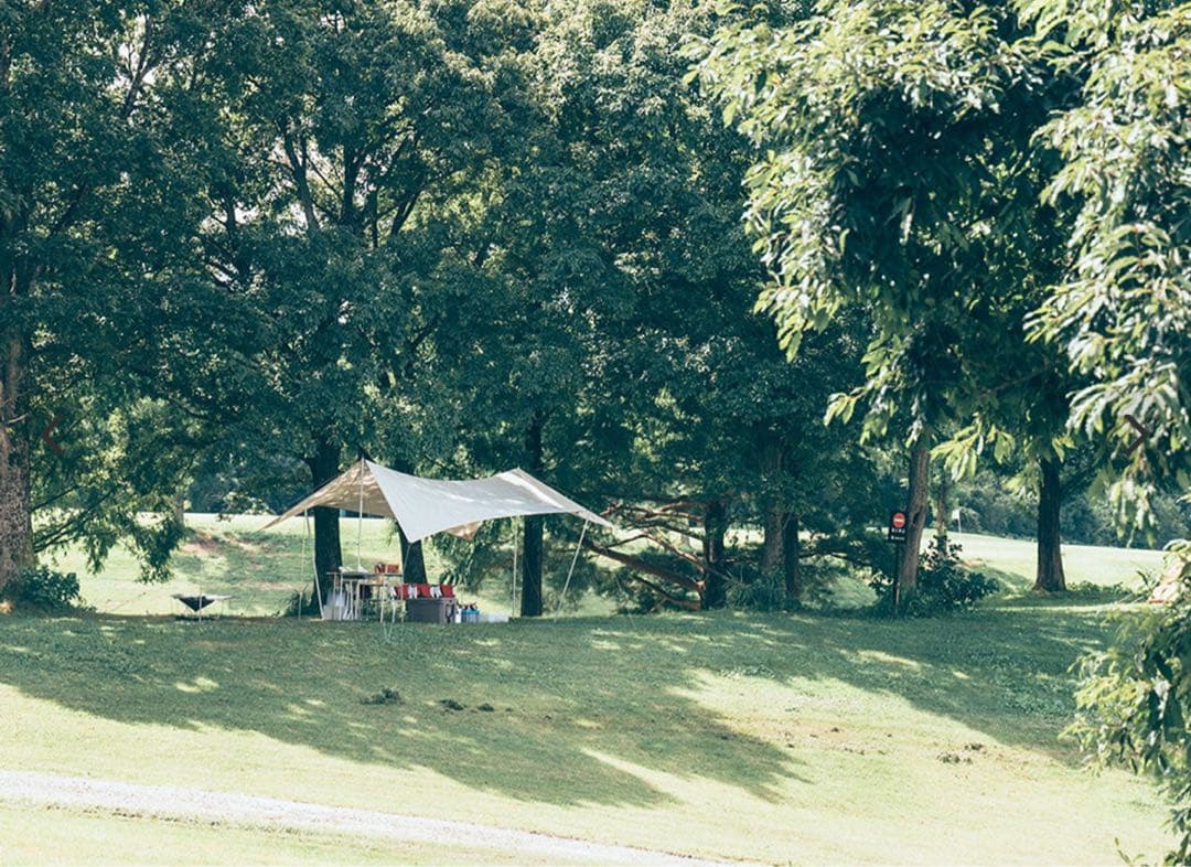 【新品】 peak HDタープ ヘキサエヴォ Pro.アイボリー