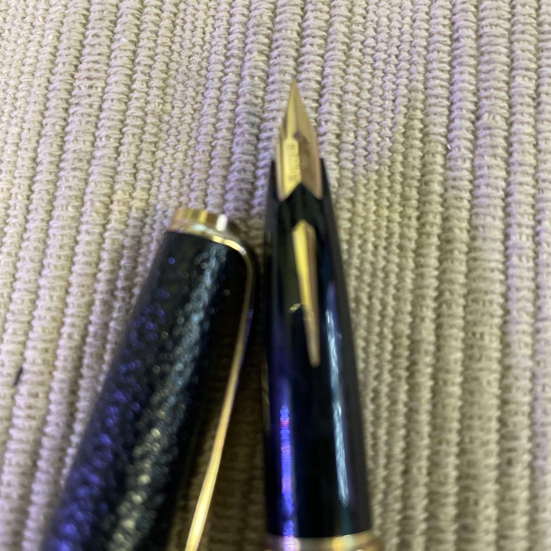 パイロット万年筆　本革製　コレクター　レトロ