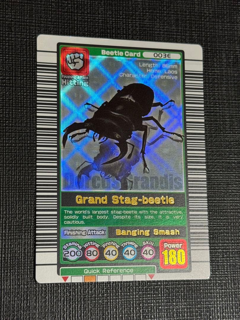 【希少】ムシキング グランディスオオクワガタ 初期デザイン 英語版