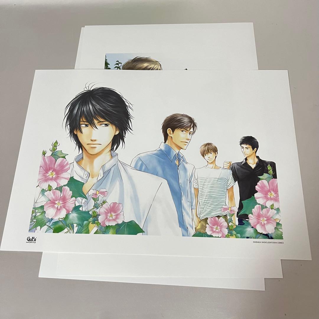 花は咲くか 複製原画4枚組 GoFa アート グッズ キャラファイングラフ