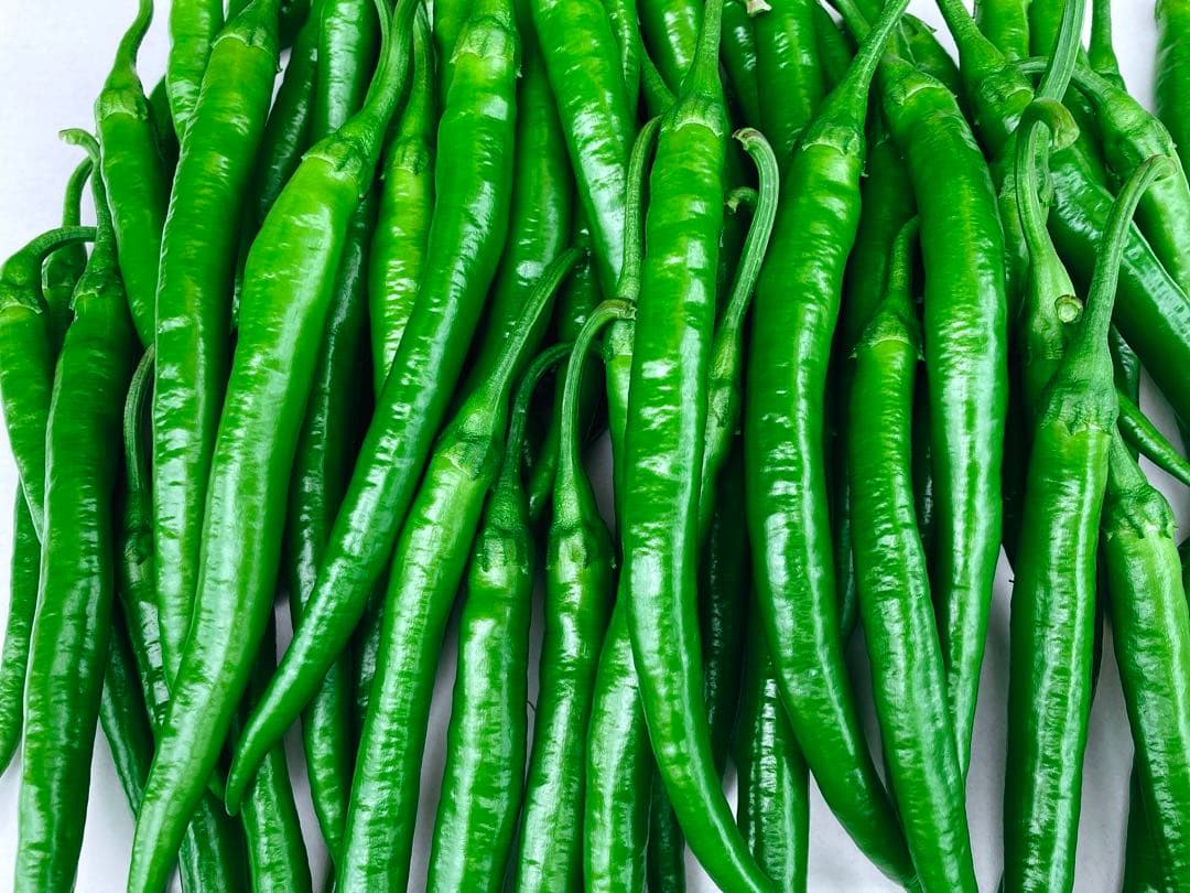 青唐辛子　良品2000g新