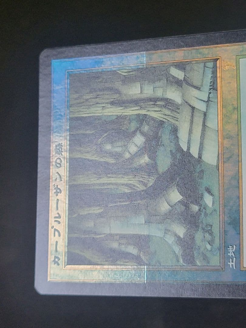 【色褪せ大】カープルーザンの森/KarplusanForest　第７版日foil