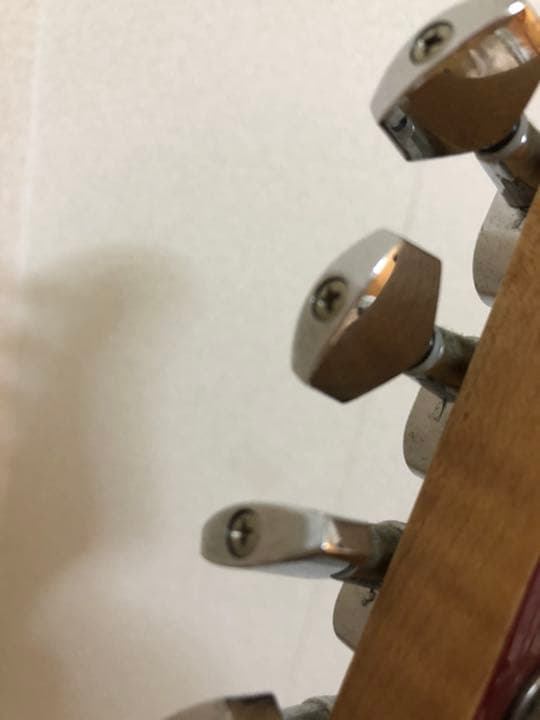 石橋楽器　エレキギター　セルバ　＋　付属品　弦など