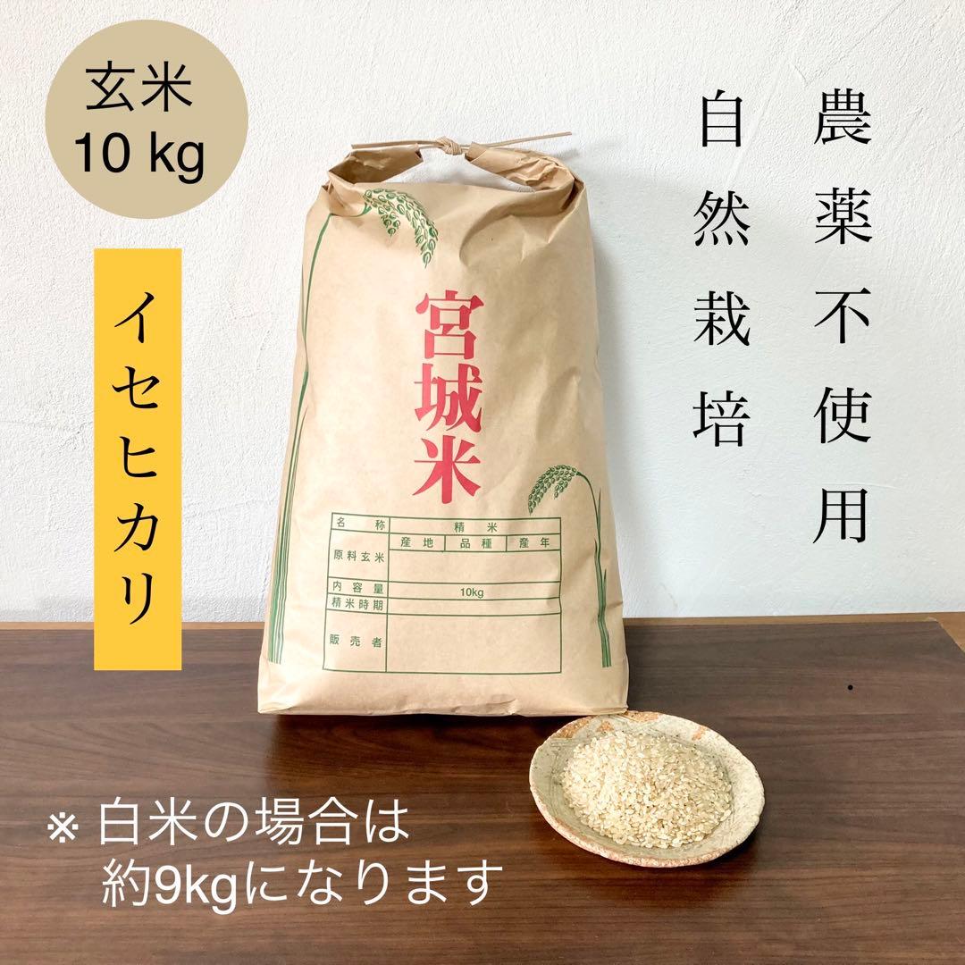 イセヒカリ　玄米10キロ　農薬不使用・肥料不使用　自然栽培米