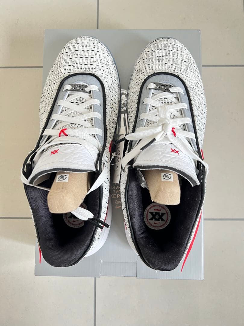 NIKE LEBRON XX EP /ナイキ レブロン20 27.5cm