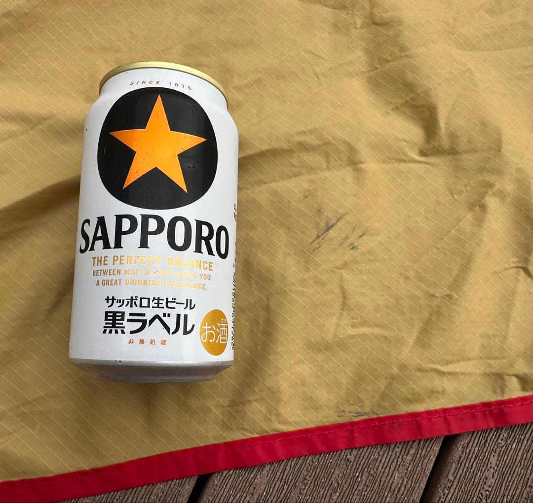 USA製⭐︎モステント・パラウィング12フィート・カムデン