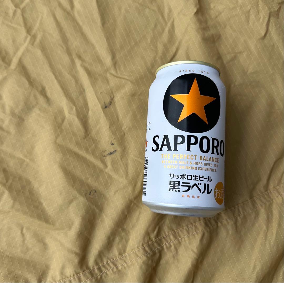 USA製⭐︎モステント・パラウィング12フィート・カムデン