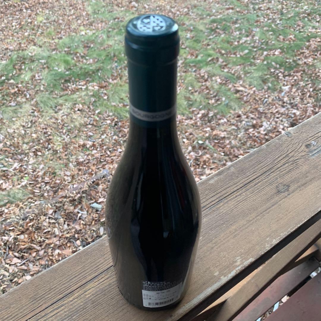 パトリスリオン　ニュイサンジョルジュ クロ デ　アルジリエール