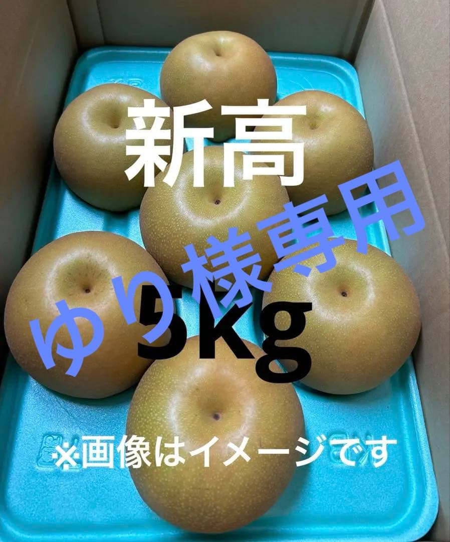ゆり　贈答用　新高梨 7玉入り 5kg