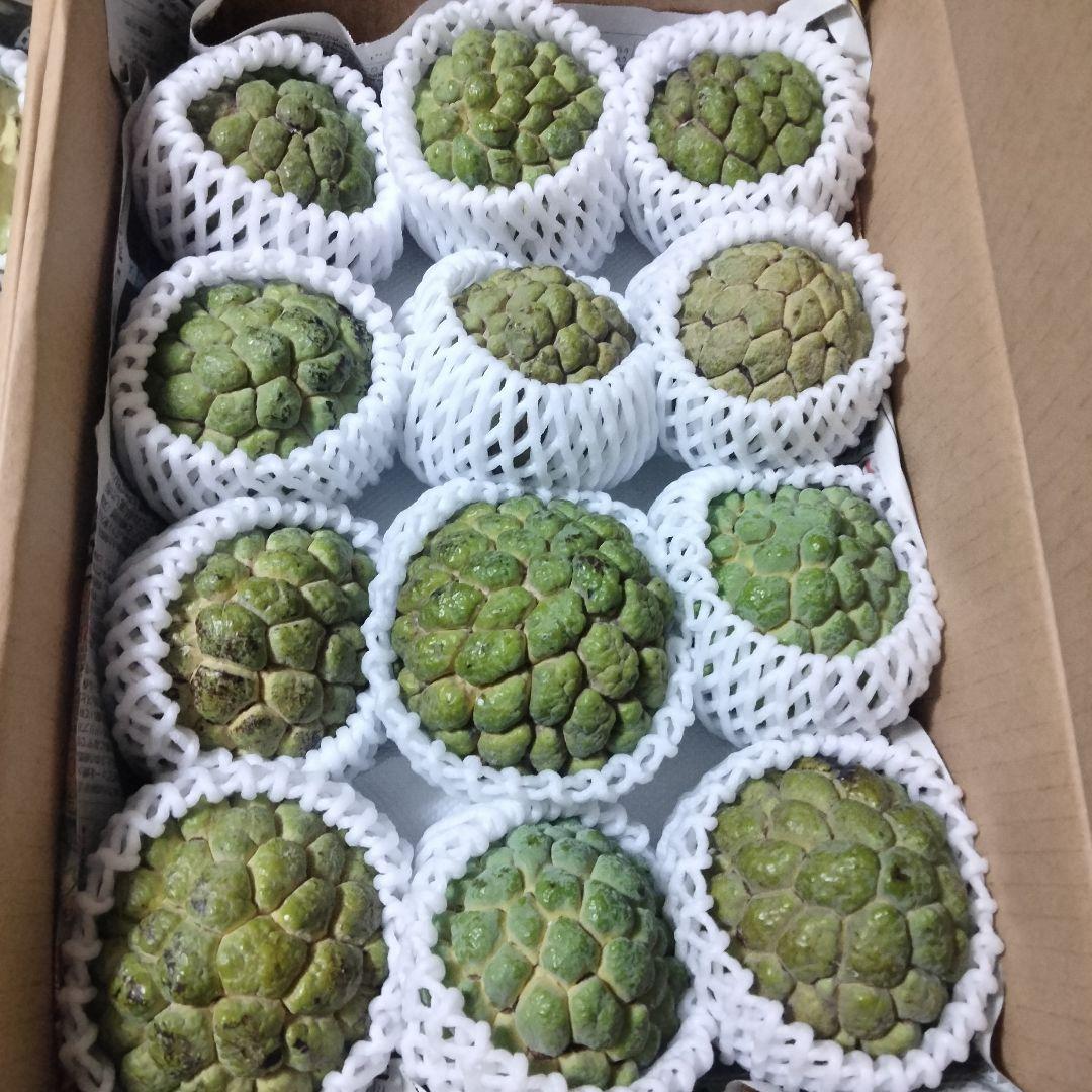 10%off沖縄県産アテモヤ3.5kg+釈迦頭３kg各Ｂ品計6.5kg【常温便①