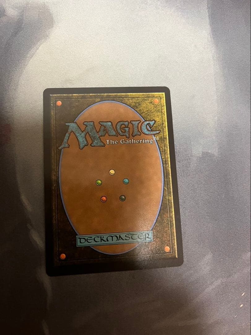 【最終値下げ】湿地の干潟　英語　ドラゴンスケイルfoil