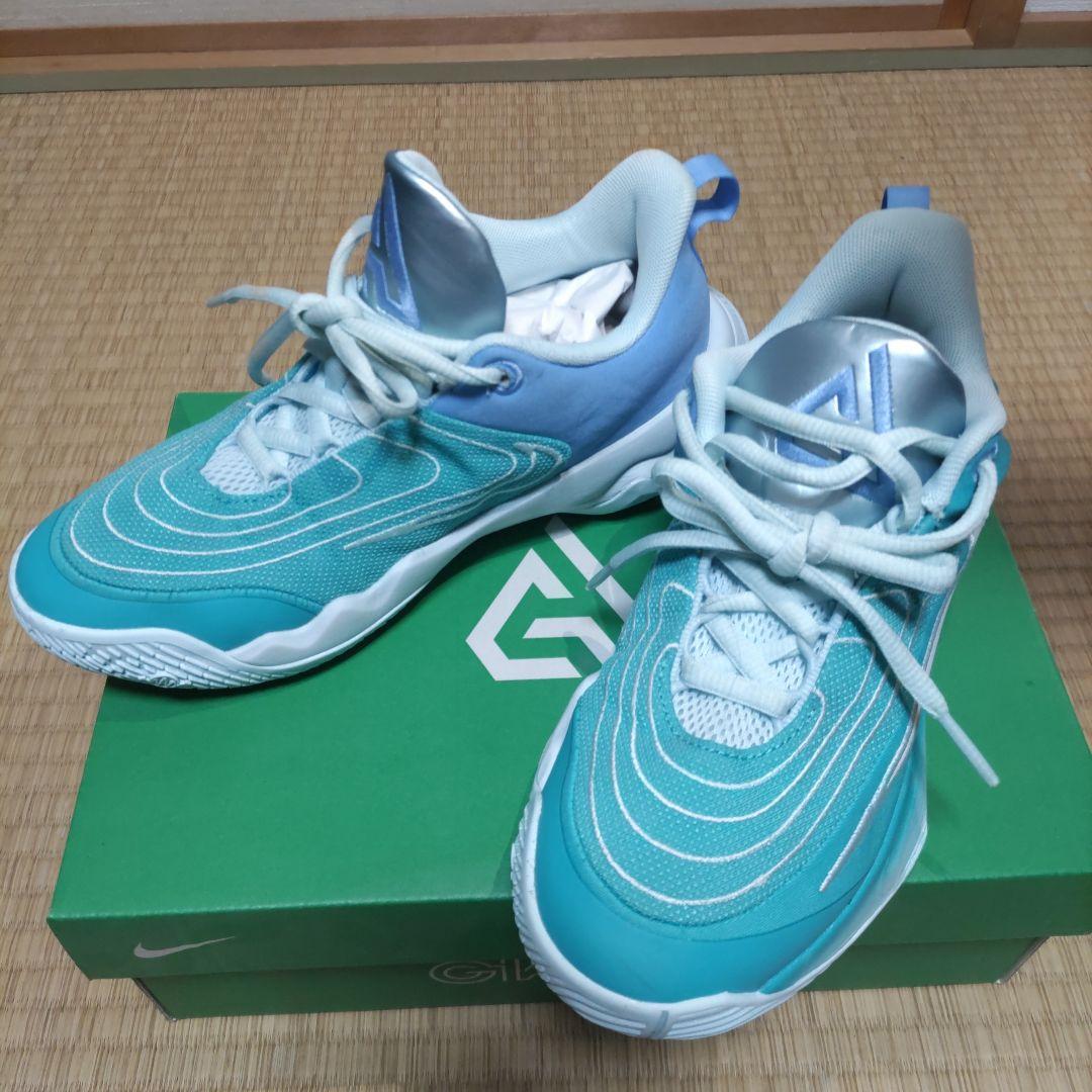 Nike バスケットボールシューズ ティール/ブルー　ヤニスイモータリティ4