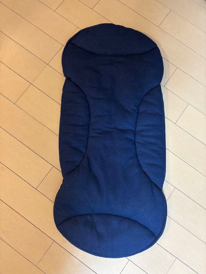 エアバギー　Airbuggy フレーム+ドーム3コット　ラージ