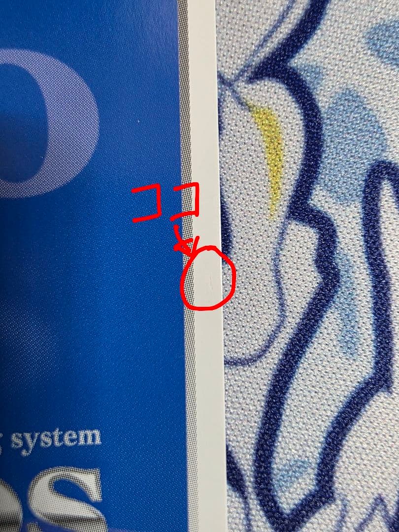 【最終値下げ】Chaostcg　意外と大胆「シャルロット・デュノア」サイン