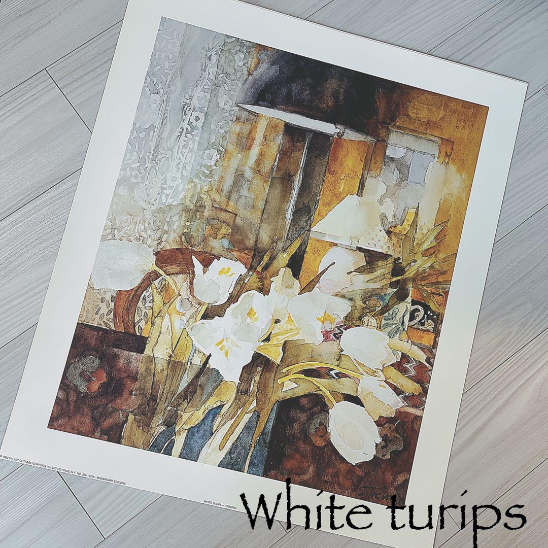 Shirley Trevena イギリス　花とフルーツ水彩画プリント　4枚セット