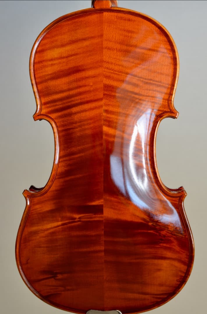 【ほぼ新品】Gliga VASILE gama2 バイオリン 4/4 セット