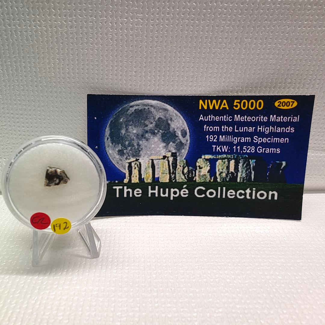 月隕石 NWA5000 192mg アダムホープ氏サインカード付き NO.217