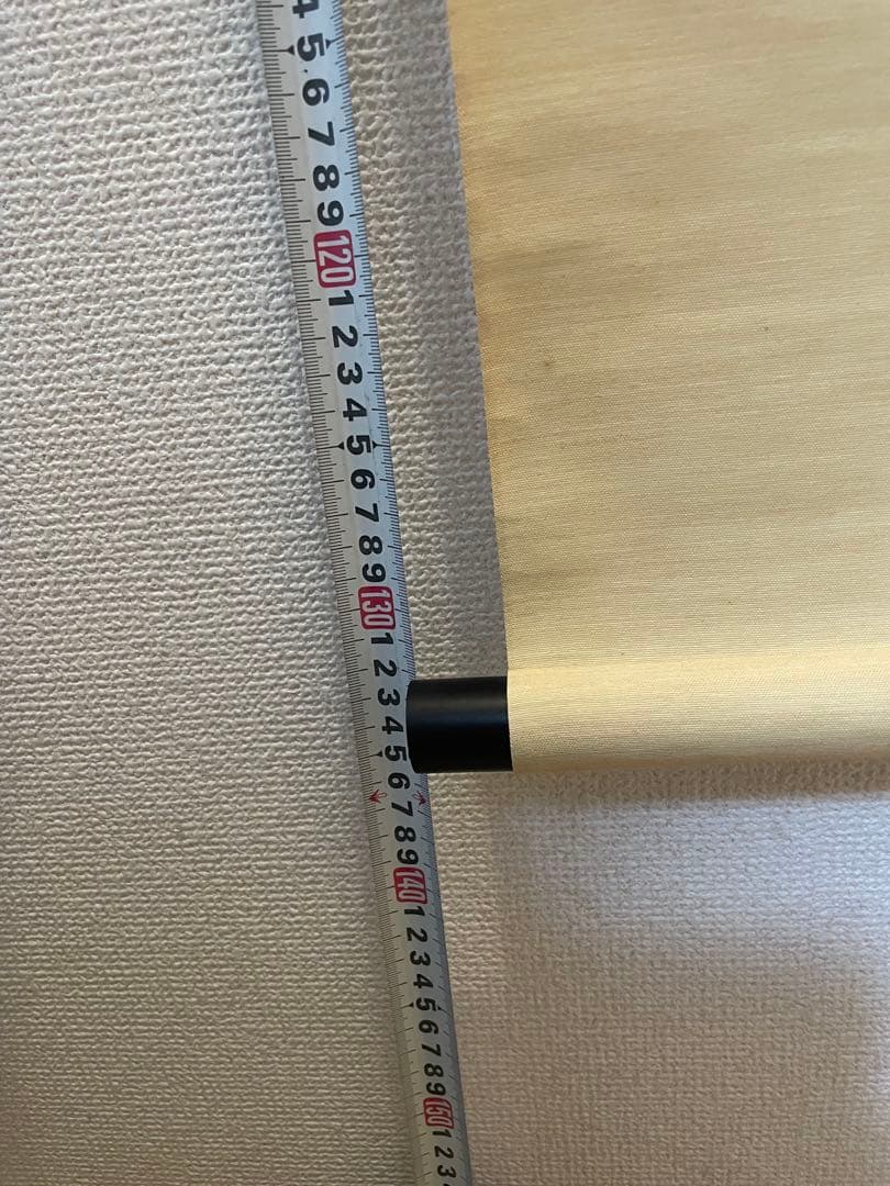 掛軸 日本三景 富士山 水墨画 大観筆 共箱付き 床の間 掛け軸