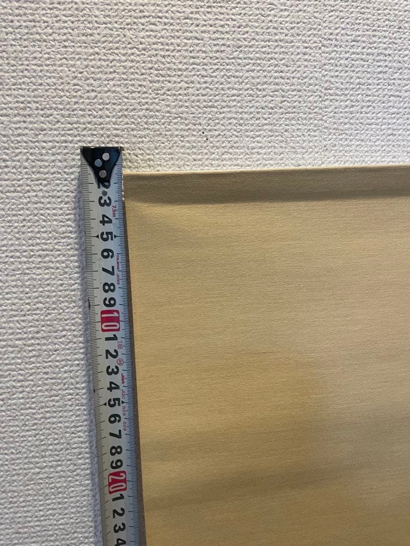 掛軸 日本三景 富士山 水墨画 大観筆 共箱付き 床の間 掛け軸