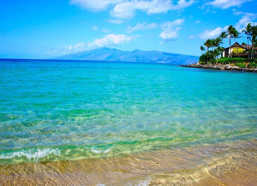 さむ様　確認用