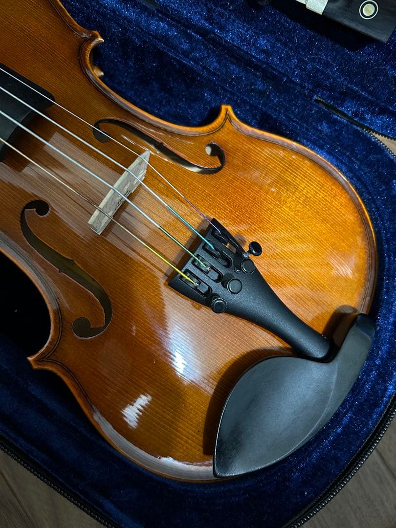 Reghin バイオリン　1/2