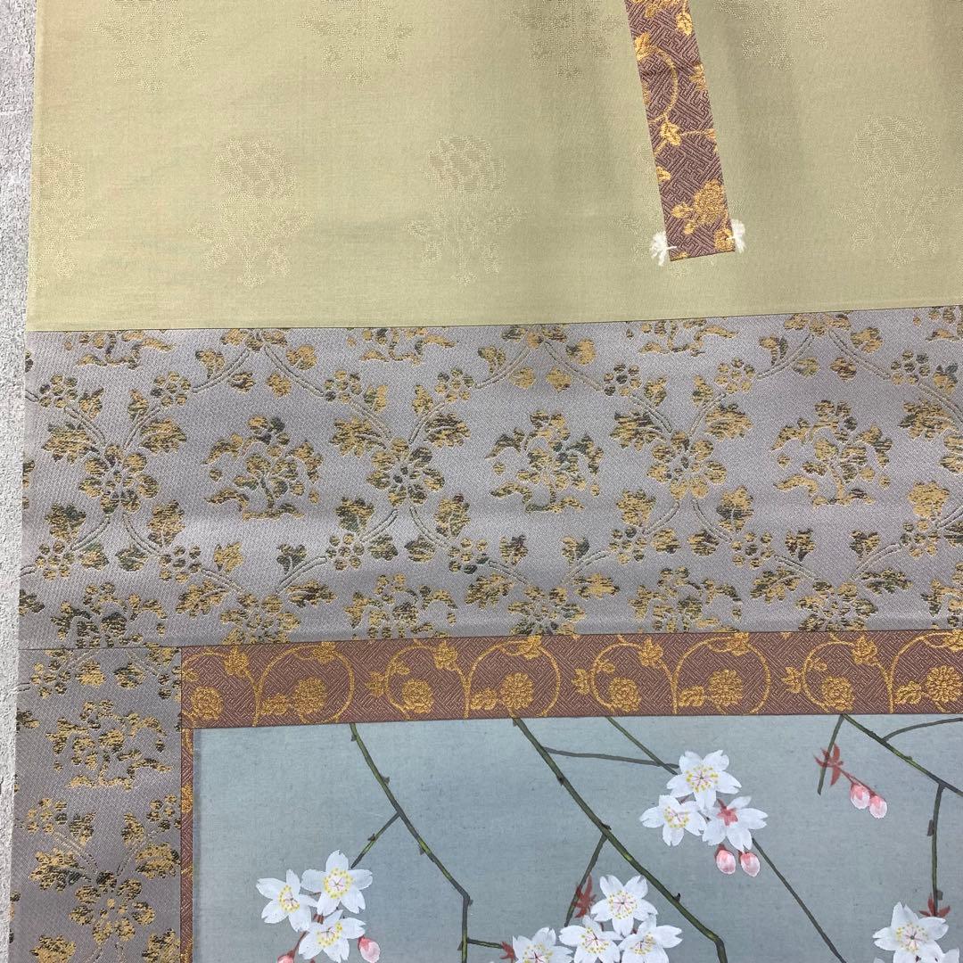 掛軸 夜桜 共箱 春 花 季節