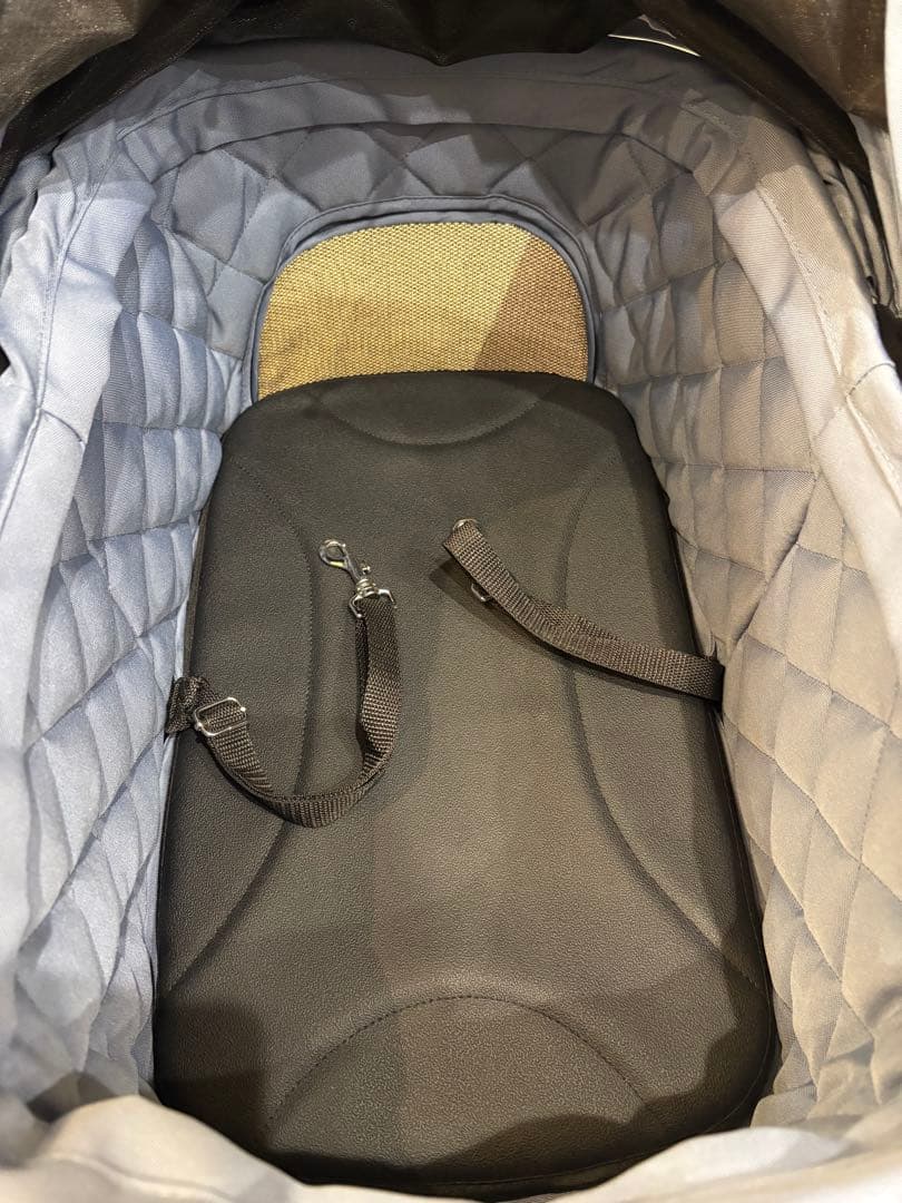 エアバギー AIRBUGGY WIZ X ブルーグレー