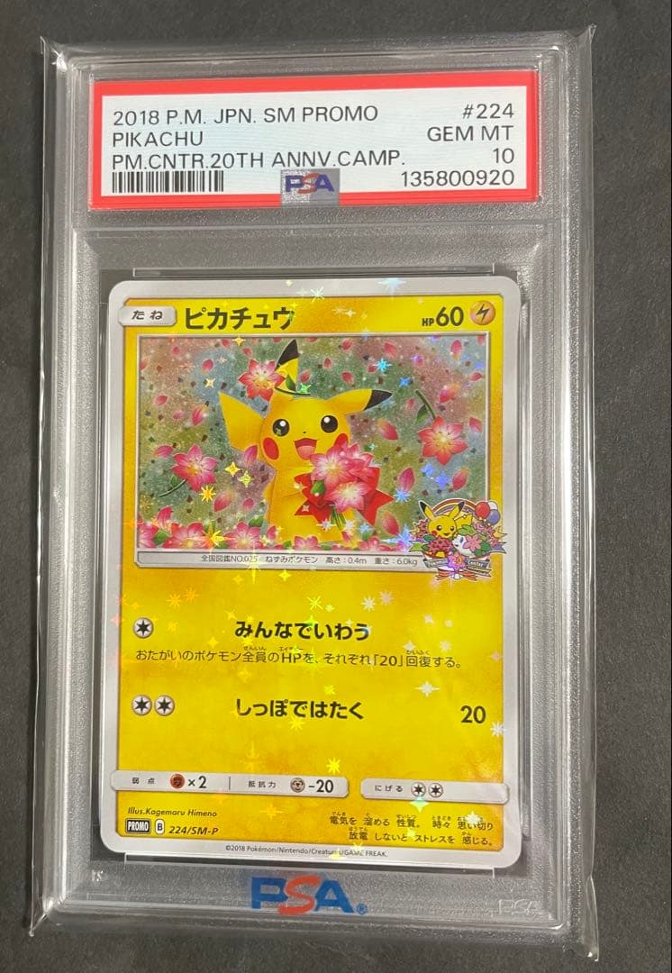 みんなでいわうピカチュウ ポケモンセンター 20周年 20th みんなで祝う