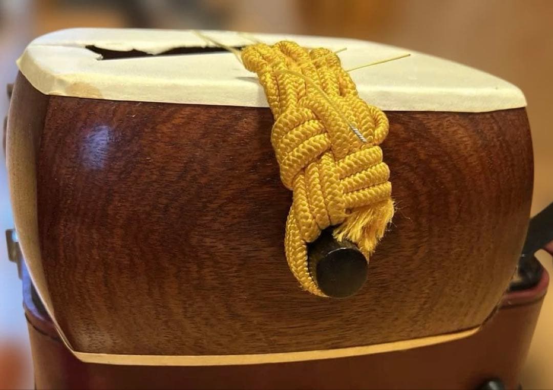 三味線 本体 専用ケース楽譜付き　バチおまけ