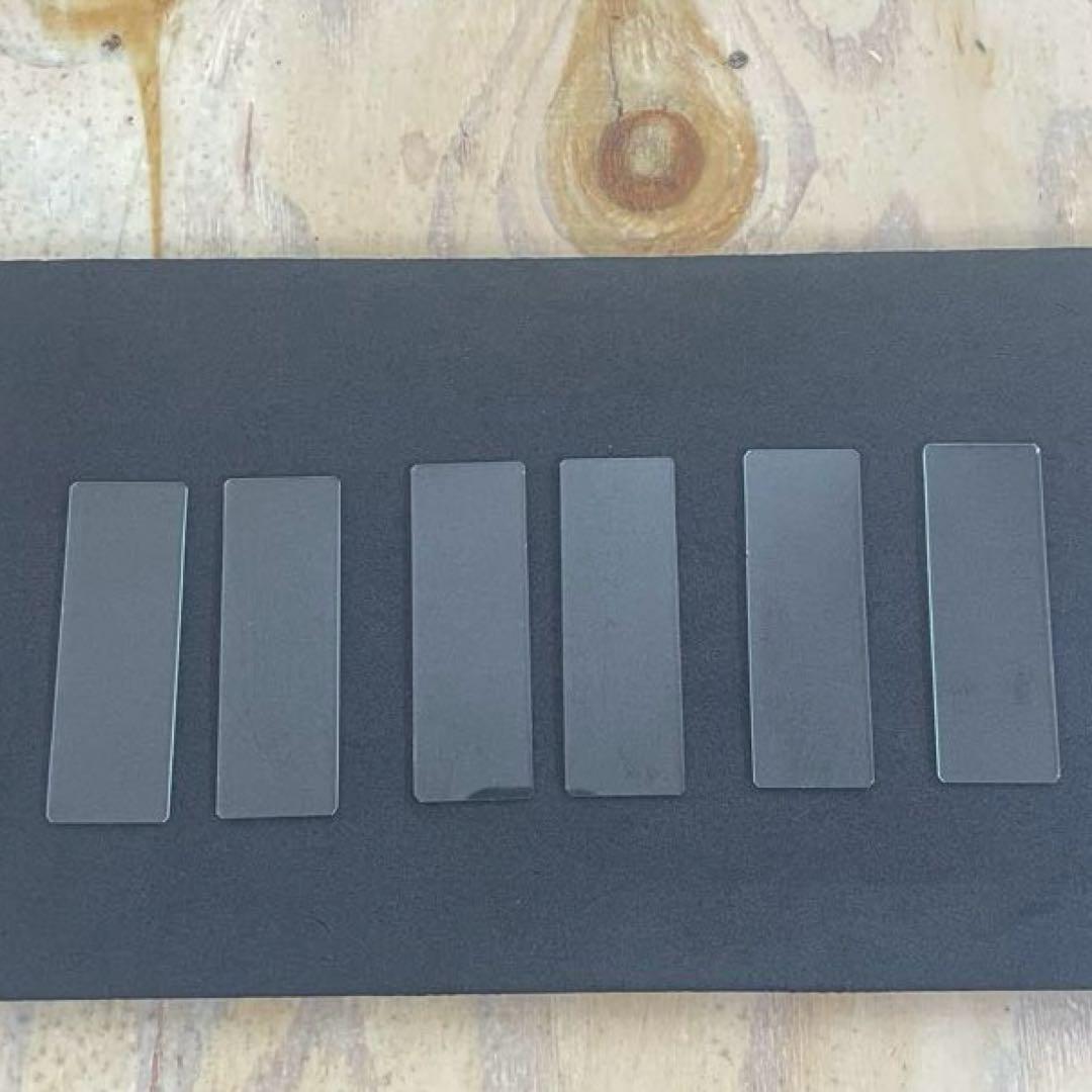 生物　昆虫採取　解剖セット　標本セット　実習キット