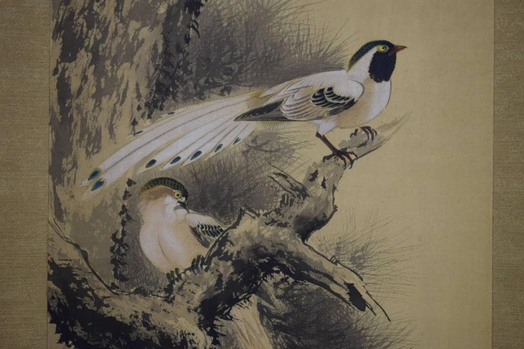 真作/今井景樹/老松珠帯鳥図/桐共箱付/布袋屋掛軸HD-720