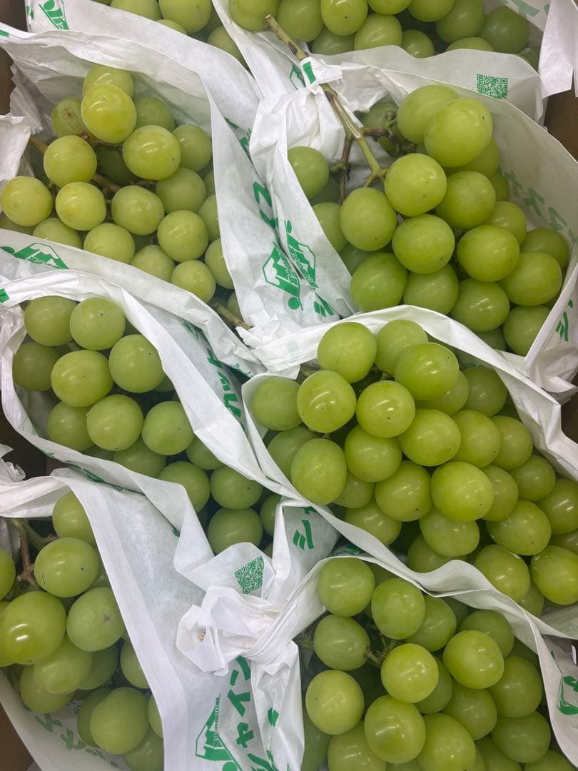 クール便山梨県産シャインマスカット５キロ7房〜9房