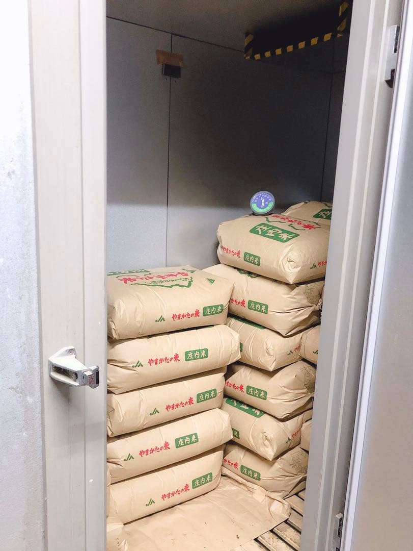 【増量】山形県庄内産　コシヒカリ23kg