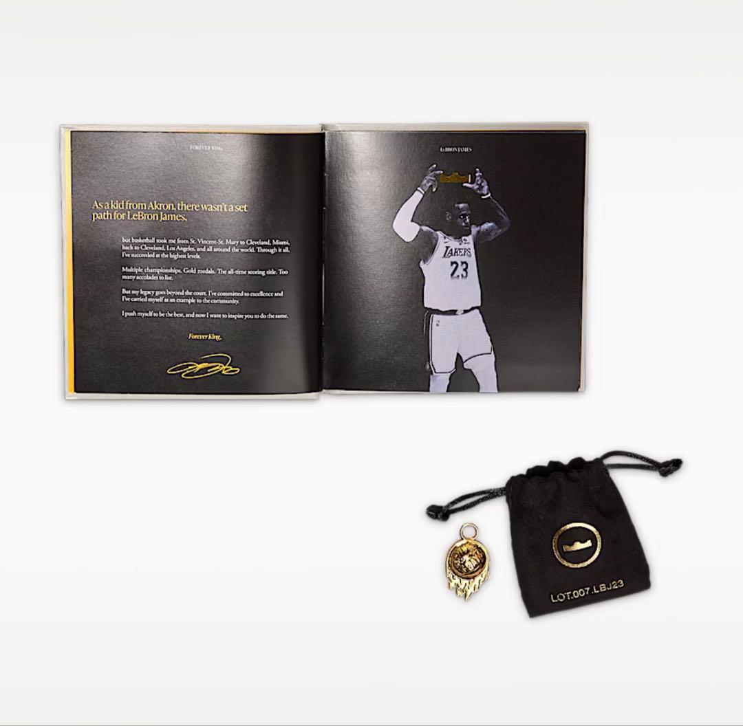 Nike LeBron 23 EP レブロン23 EP サイズ:29cm