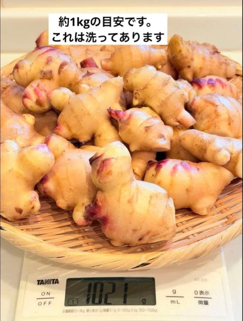 【農薬不使用】新生姜 【露地栽培】24時間以内発送 掘りたて 生姜 無農薬